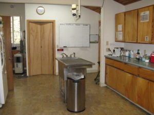 TREATMENT Dr. Colin Chaves of Covington Creek Veterinary Hospital